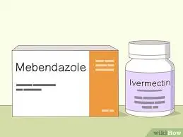  Mebendazole Tablets